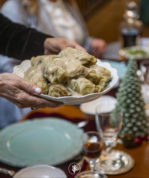 482006239_694036302950829_6536299864424684421_n