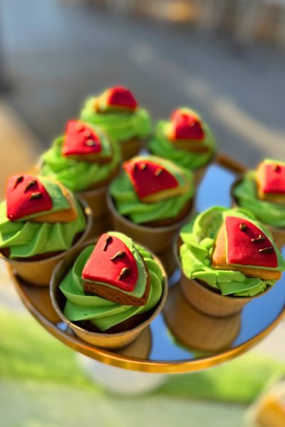 558774100_18071837099241765_1013004552027892478_n