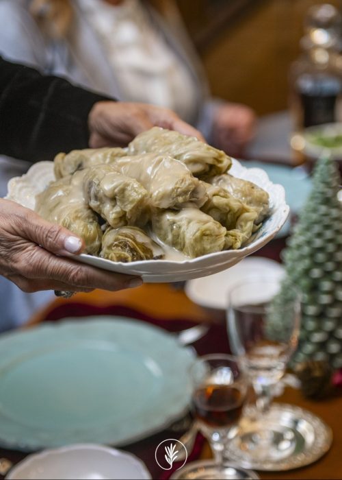 482006239_694036302950829_6536299864424684421_n